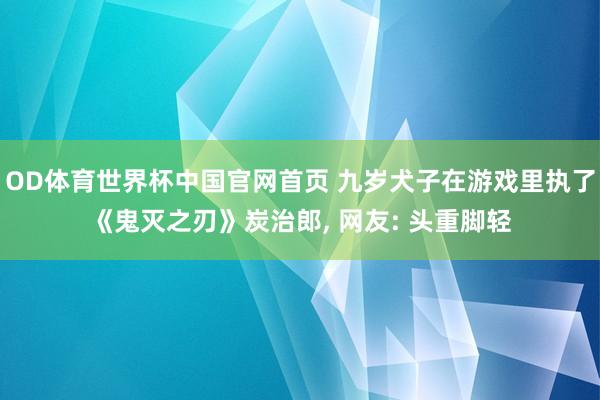OD体育世界杯中国官网首页 九岁犬子在游戏里执了《鬼灭之刃》炭治郎， 网友: 头重脚轻