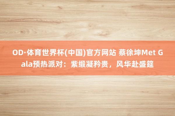 OD·体育世界杯(中国)官方网站 蔡徐坤Met Gala预热派对：紫缎凝矜贵，风华赴盛筵