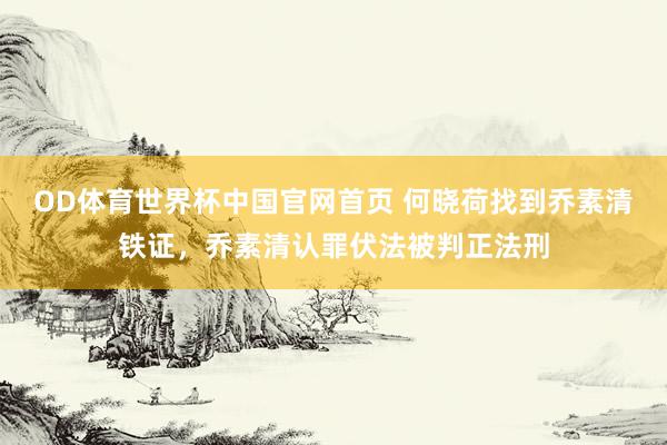 OD体育世界杯中国官网首页 何晓荷找到乔素清铁证，乔素清认罪伏法被判正法刑