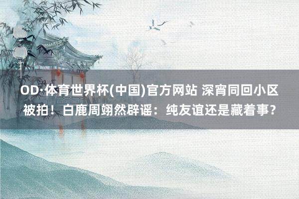 OD·体育世界杯(中国)官方网站 深宵同回小区被拍！白鹿周翊然辟谣：纯友谊还是藏着事？