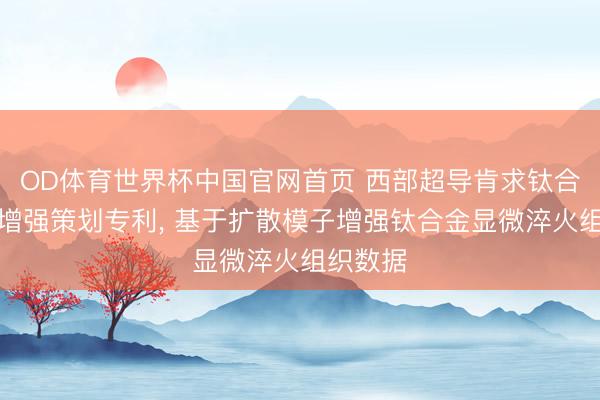 OD体育世界杯中国官网首页 西部超导肯求钛合金数据增强策划专利, 基于扩散模子增强钛合金显微淬火组织数据