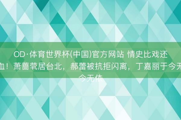 OD·体育世界杯(中国)官方网站 情史比戏还狗血！萧蔷茕居台北，郝蕾被抗拒闪离，丁嘉丽于今无依