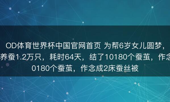 OD体育世界杯中国官网首页 为帮6岁女儿圆梦，武汉姆妈客厅养蚕1.2万只，耗时64天，结了10180个蚕茧，作念成2床蚕丝被