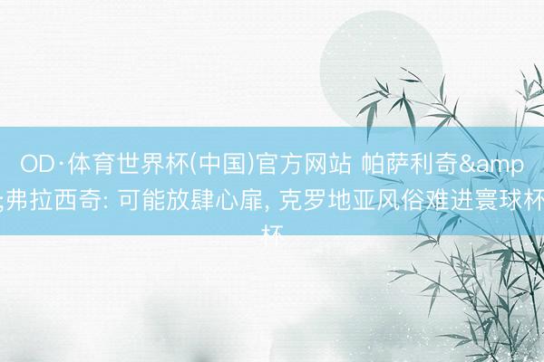 OD·体育世界杯(中国)官方网站 帕萨利奇&弗拉西奇: 可能放肆心扉， 克罗地亚风俗难进寰球杯