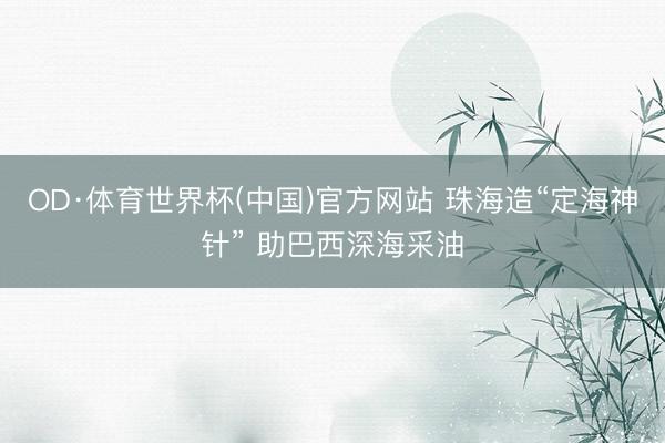 OD·体育世界杯(中国)官方网站 珠海造“定海神针” 助巴西深海采油