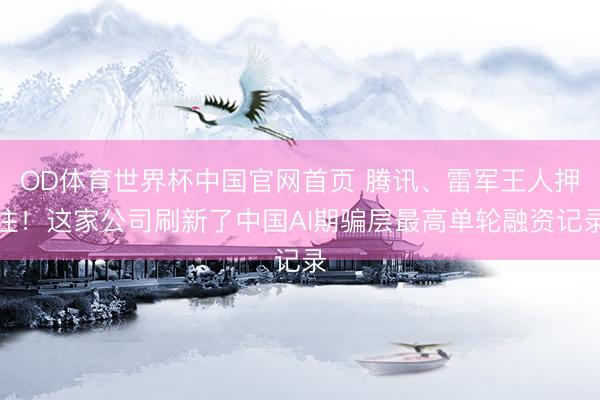 OD体育世界杯中国官网首页 腾讯、雷军王人押注!这家公司刷新了中国AI期骗层最高单轮融资记录