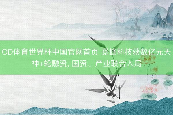 OD体育世界杯中国官网首页 觅蜂科技获数亿元天神+轮融资, 国资、产业联合入局