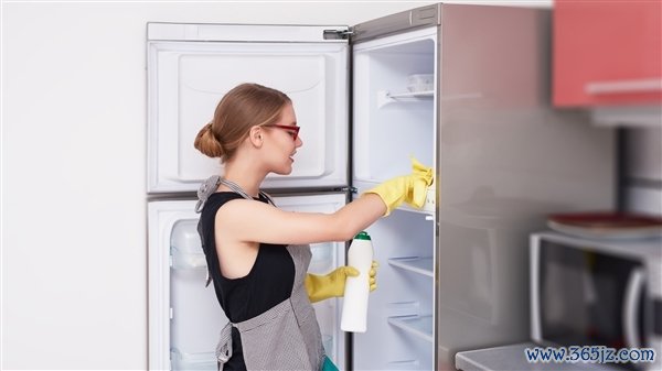 雪柜串味的根底原因不是容量小:是轮回系统旨趣没选对