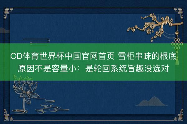 OD体育世界杯中国官网首页 雪柜串味的根底原因不是容量小:是轮回系统旨趣没选对
