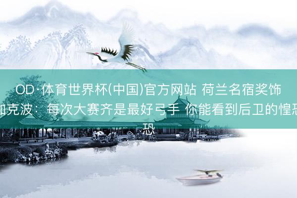 OD·体育世界杯(中国)官方网站 荷兰名宿奖饰加克波：每次大赛齐是最好弓手 你能看到后卫的惶恐